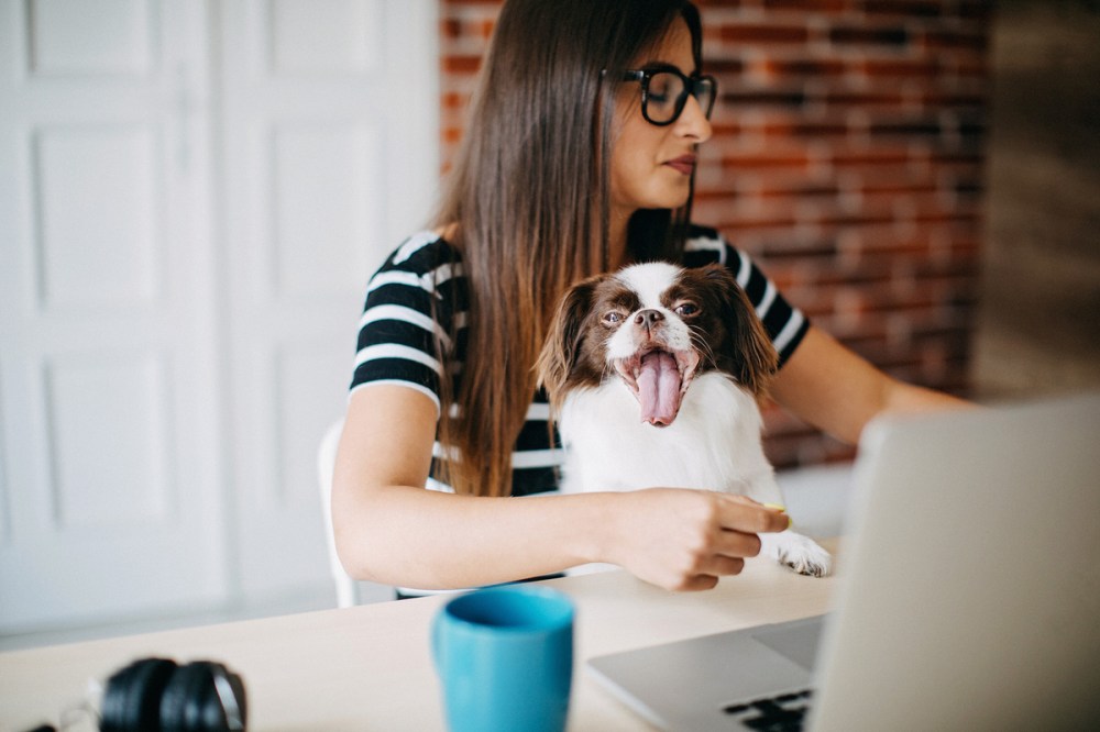 Hero image for Pricing analytics: How did this pet manufacturer boost ROI 12% with pricing and promotion analytics?
