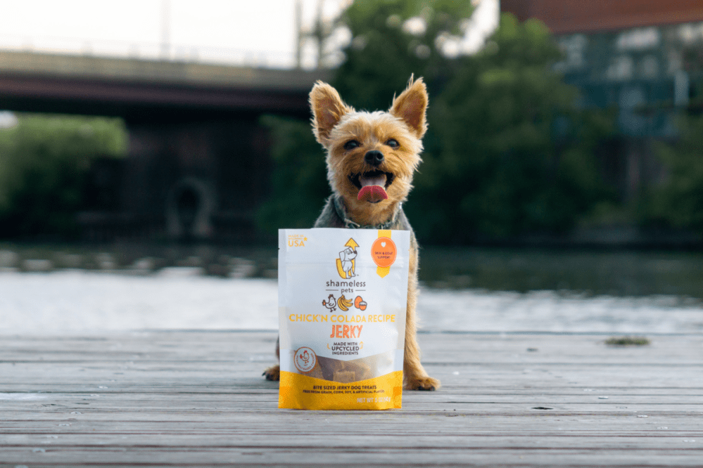 Hero image for Video: Shameless Pets founder share how a novel idea became a pet care shelf staple