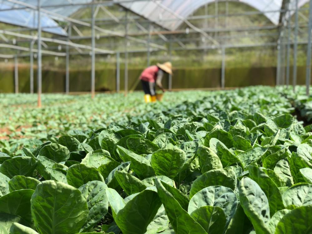 Hero image for The changing story of sustainability
