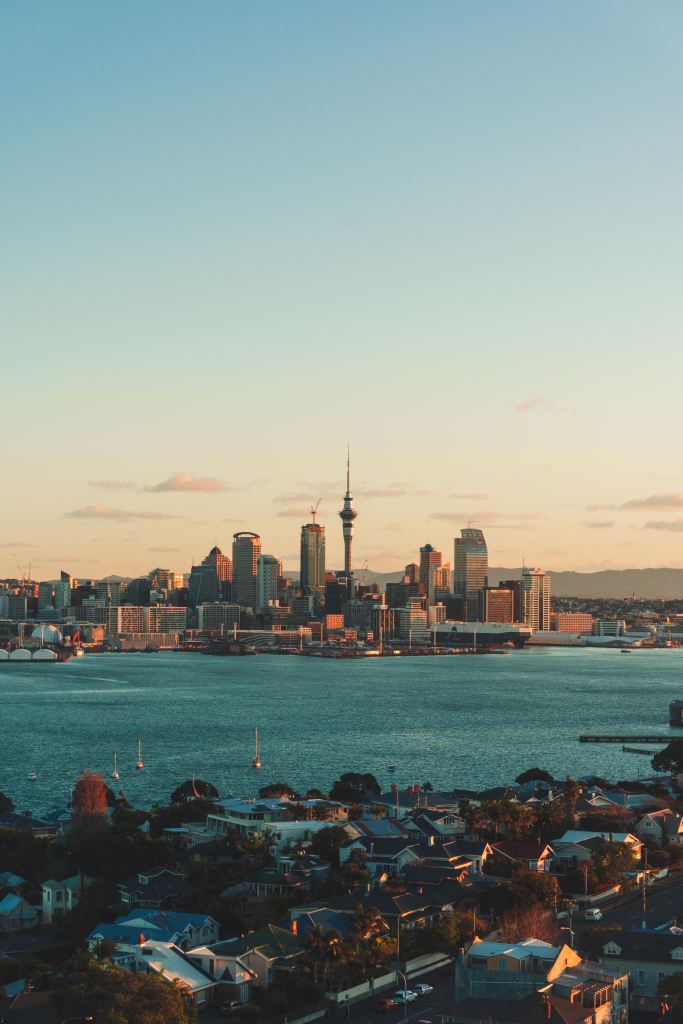 Hero image for New Zealand Pulse+ Snapshot