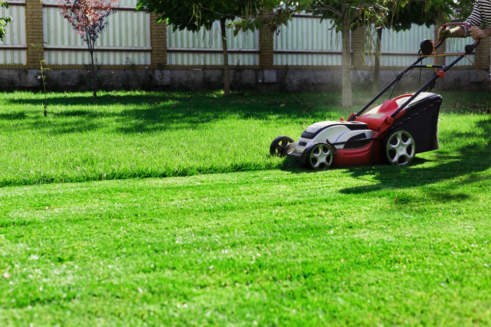 Hero image for Power or Convenience? Driving Change in the Outdoor Lawn Equipment Market
