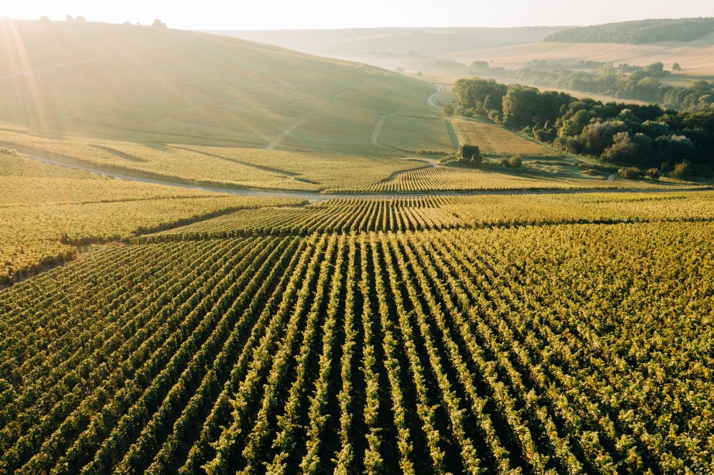 Hero image for Rural Romania 2024
