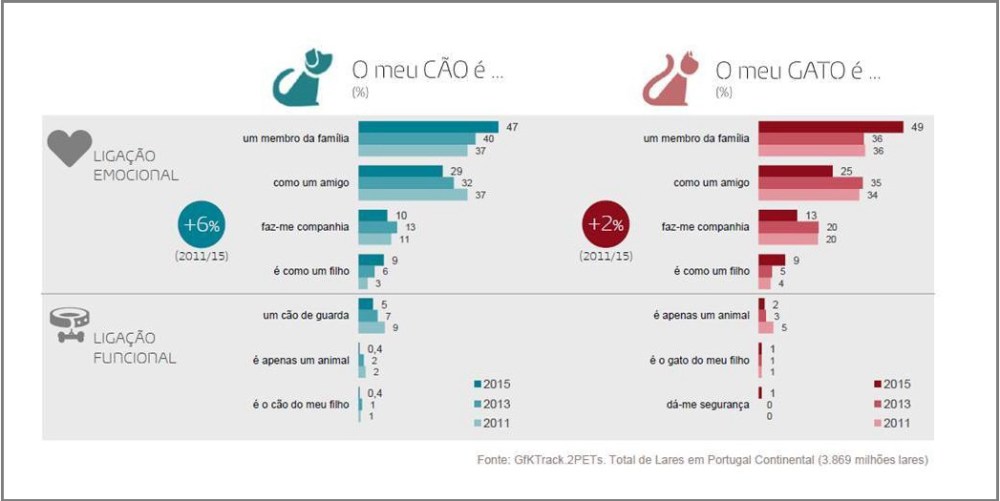 Imagem principal de Portugal é um país Pet-Friendly