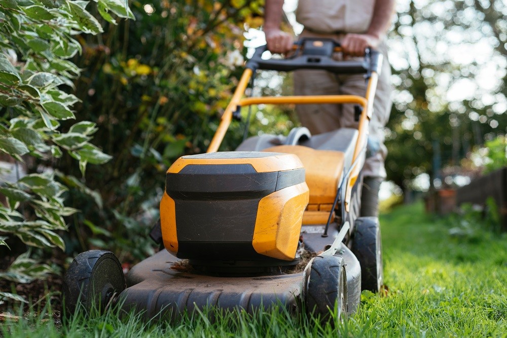 Hero image for Home improvement & gardening – the trends driving growth in 2023