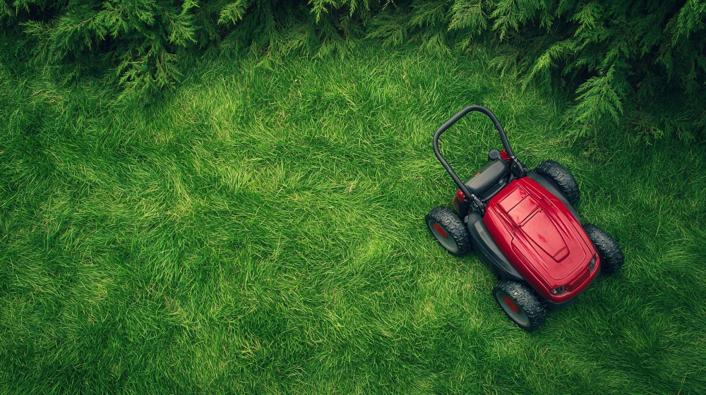 Hero image for Is the Grass always Greener on the Robotic Side?
