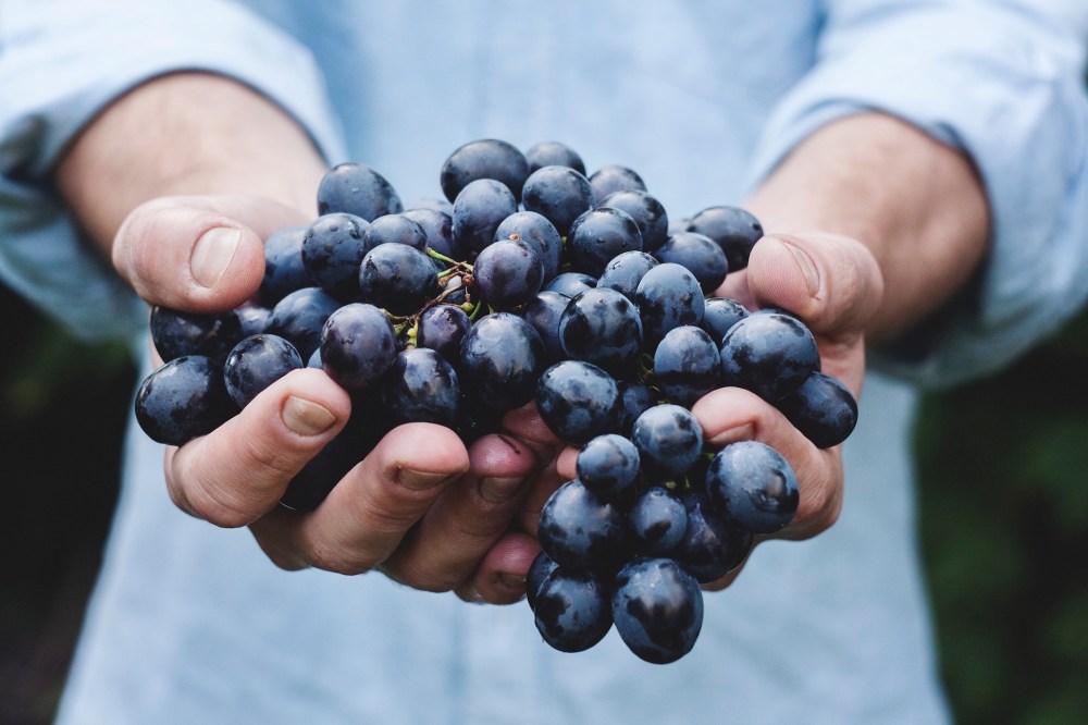 Hero image for Macro Impacts to the Wine Industry