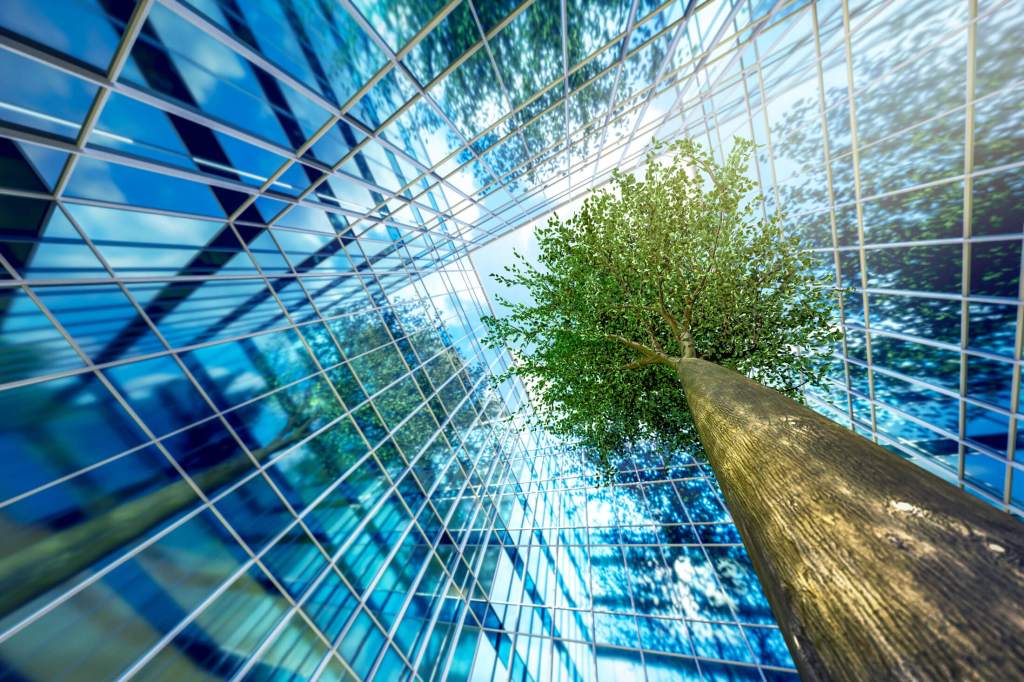 Cover image 1 for Growth Pathways